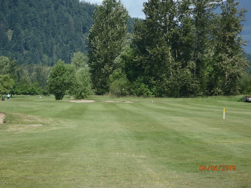 Royalwood Golf Course green and surroundings